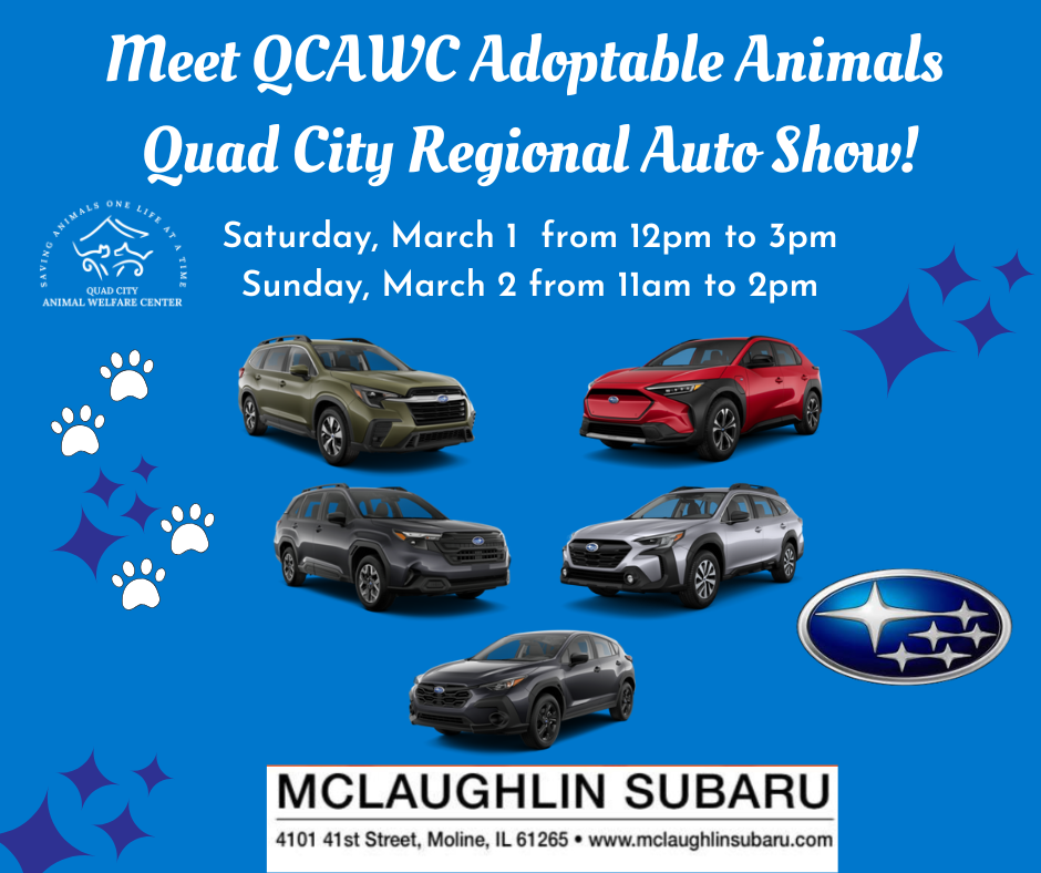 Quad cities regional auto show 7